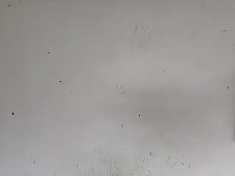 fs carioca online show from December 2, 2025, 8:26 pm