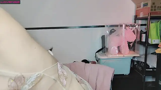 Snapshot of diandian-866 chatting on February 20, 2025, 2:24 pm diandian-866 online show from February 20, 2025, 2:24 pm