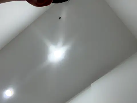 Sexocokin online show from December 16, 2025, 1:16 pm