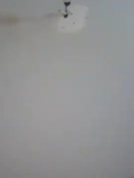 Snapshot of HueingChamber4352 chatting on May 23, 2026, 6:51 am HueingChamber4352 online show from May 23, 2026, 6:51 am