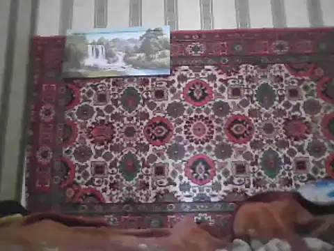 Snapshot of AlferezzSolvajo chatting on March 9, 2025, 6:50 am AlferezzSolvajo online show from March 9, 2025, 6:50 am