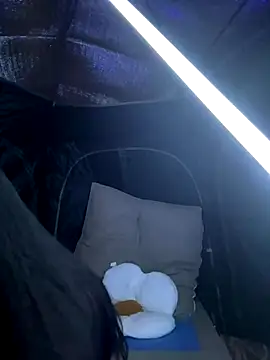 csck2025 online show from November 29, 2025, 12:08 pm