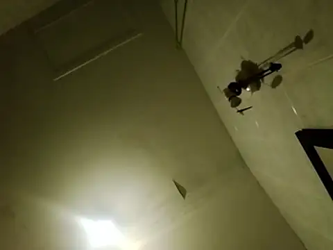 aigledauphin online show from January 6, 2026, 5:33 am