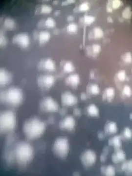 Amaya Bajwa online show from November 15, 2025, 4:32 am