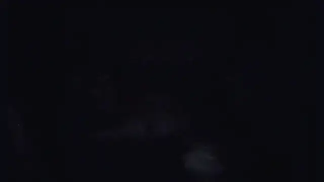 ParaFox online show from September 14, 2025, 8:30 pm