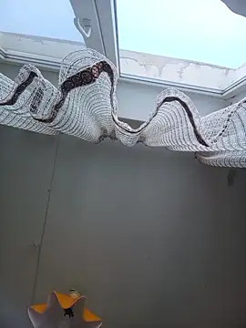 Snapshot of Lauren_Amabel chatting on February 22, 2026, 8:24 am Lauren Amabel online show from February 22, 2026, 8:24 am