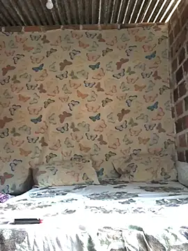 PretinhaOfc online show from January 12, 2025, 7:10 pm