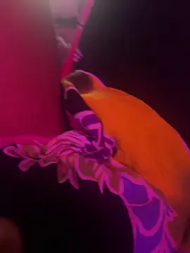 Snapshot of Lilymoonshow chatting on March 17, 2025, 7:02 am Lilymoonshow online show from March 17, 2025, 7:02 am