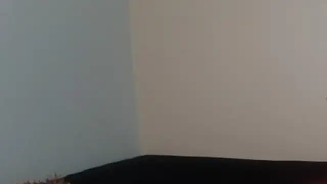 hairyncuteass online show from February 13, 2025, 8:24 pm