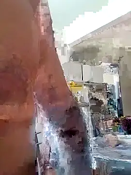 Munnoki online show from April 11, 2026, 12:20 pm