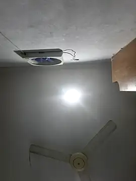 DrakeVega online show from January 23, 2025, 9:50 pm