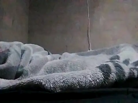 LaneYam online show from March 24, 2026, 8:03 pm