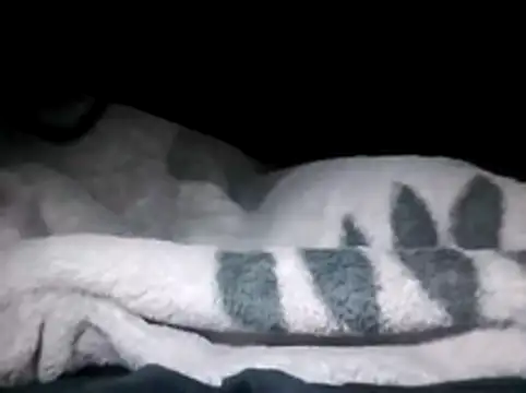 LaneYam online show from March 28, 2026, 12:32 am