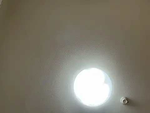 Snapshot of riri_riri_jp chatting on March 31, 2026, 11:43 am riri riri jp online show from March 31, 2026, 11:43 am