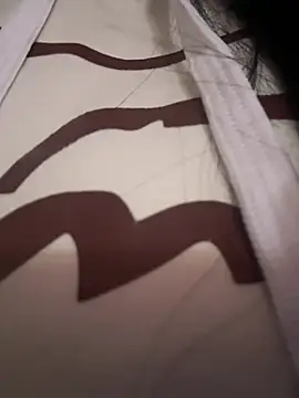 Snapshot of ValeriaOrtega chatting on April 14, 2026, 11:38 am ValeriaOrtega online show from April 14, 2026, 11:38 am