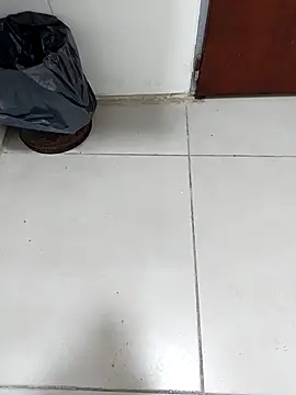 Snapshot of Alejandrok222 chatting on April 15, 2026, 4:41 am Alejandrok222 online show from April 15, 2026, 4:41 am