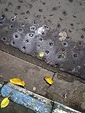 Snapshot of Raj41 chatting on September 20, 2025, 1:45 pm Raj41 online show from September 20, 2025, 1:45 pm