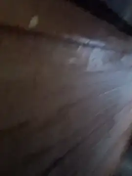 Raj41 online show from January 6, 2026, 12:58 am