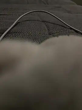 Snapshot of hengst2312 chatting on January 20, 2025, 6:10 pm hengst2312 online show from January 20, 2025, 6:10 pm