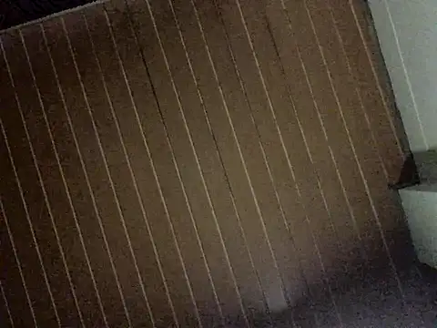 Nooneisthis online show from December 3, 2025, 6:32 am