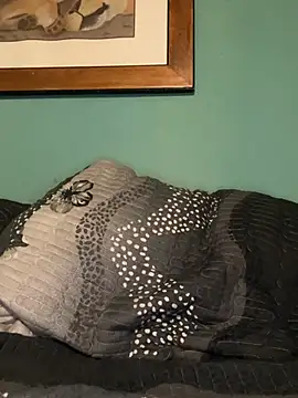 Snapshot of clipper12 chatting on May 7, 2026, 2:06 am clipper12 online show from May 7, 2026, 2:06 am