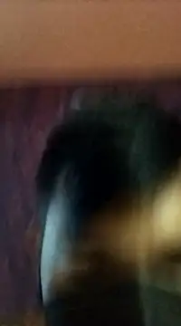 Snapshot of randit7 chatting on January 27, 2025, 2:42 am randit7 online show from January 27, 2025, 2:42 am