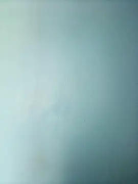 Snapshot of randit7 chatting on March 1, 2025, 6:35 am randit7 online show from March 1, 2025, 6:35 am