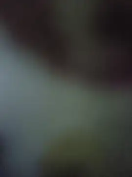 randit7 online show from November 10, 2025, 4:22 am