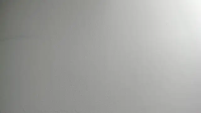 Tombarden online show from February 11, 2025, 3:51 pm