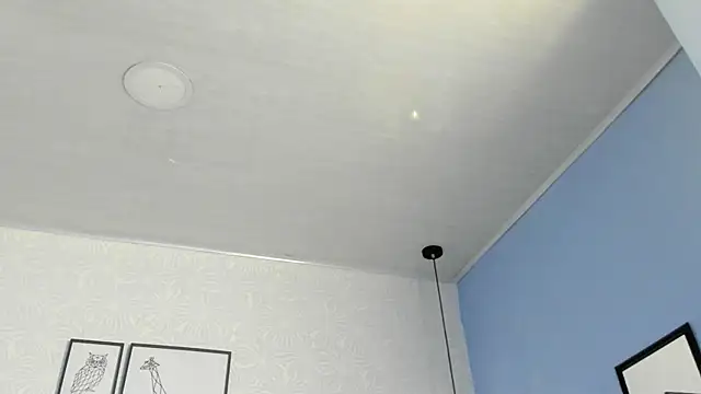 Snapshot of ninna_curly chatting on February 13, 2026, 4:52 am ninna curly online show from February 13, 2026, 4:52 am