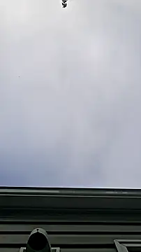 Snapshot of BBWLADY71 chatting on July 8, 2026, 12:09 pm BBWLADY71 online show from July 8, 2026, 12:09 pm
