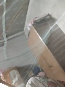 birds0641 online show from March 31, 2026, 7:36 pm