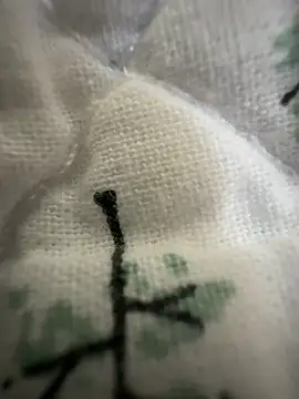 sissyboijamie1313 online show from February 28, 2026, 8:54 pm