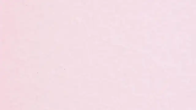 JhoanLeandro online show from April 11, 2026, 4:17 am