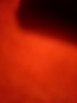 Snapshot of dominationmybigdick chatting on September 22, 2025, 11:45 am dominationmybigdick online show from September 22, 2025, 11:45 am