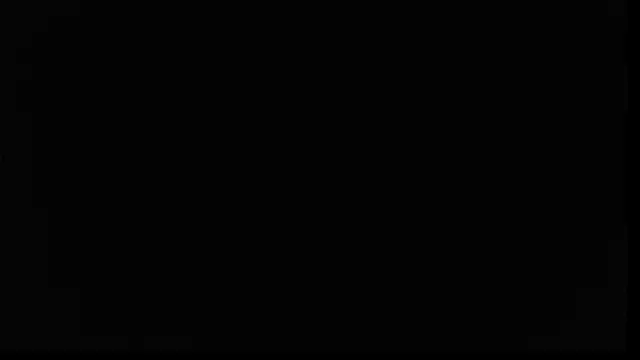 lolplipiwg online show from October 29, 2025, 9:11 am