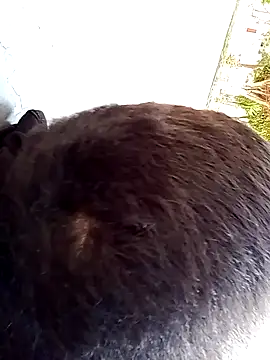 Snapshot of Elgroney23 chatting on December 19, 2025, 4:58 pm Elgroney23 online show from December 19, 2025, 4:58 pm