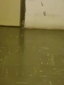 DahGiver online show from February 18, 2025, 10:47 pm