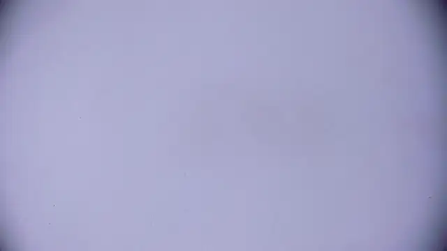 Snapshot of Ashlyaurora chatting on March 20, 2025, 7:58 am Ashlyaurora online show from March 20, 2025, 7:58 am