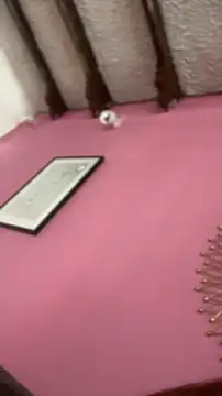 Valu euphoria online show from November 28, 2025, 8:22 pm