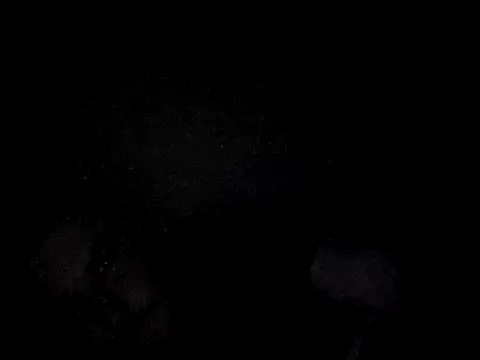 Snapshot of Foxtrott_242 chatting on September 8, 2025, 11:48 pm Foxtrott 242 online show from September 8, 2025, 11:48 pm