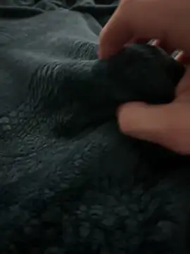 Snapshot of kishamis69 chatting on February 13, 2025, 5:01 pm kishamis69 online show from February 13, 2025, 5:01 pm