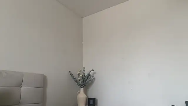 Snapshot of skyejde chatting on March 13, 2026, 10:11 am skyejde online show from March 13, 2026, 10:11 am