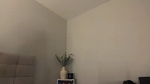 Snapshot of skyejde chatting on April 5, 2026, 9:45 pm skyejde online show from April 5, 2026, 9:45 pm