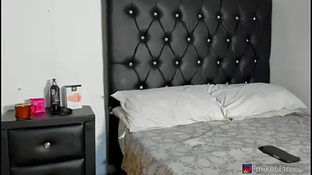 Snapshot of mikeblaree chatting on February 21, 2026, 7:59 pm mikeblaree online show from February 21, 2026, 7:59 pm