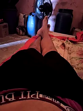 DamAlves49 online show from November 18, 2025, 12:20 pm