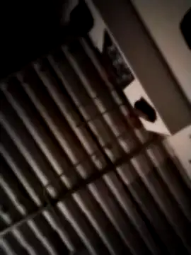 Snapshot of Luiyi1997 chatting on February 15, 2025, 2:37 am Luiyi1997 online show from February 15, 2025, 2:37 am