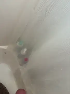 danyh2023 online show from March 1, 2026, 4:09 pm