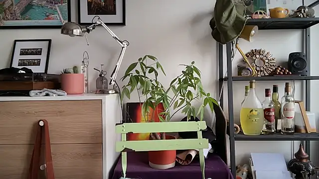 Snapshot of MikymikeBBWD chatting on November 12, 2025, 11:43 am MikymikeBBWD online show from November 12, 2025, 11:43 am