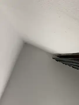 morfeoX online show from April 18, 2026, 9:35 am